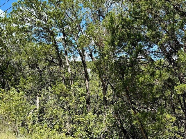 20606 Park Dr, Lago Vista, TX 78645 - photo 2