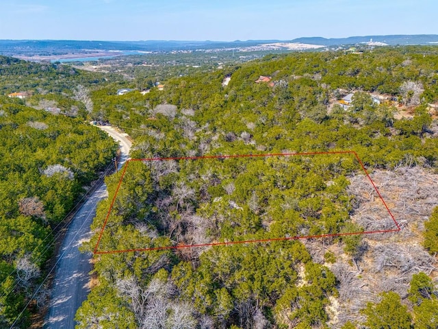 20606 Park Dr, Lago Vista, TX 78645 - photo 1