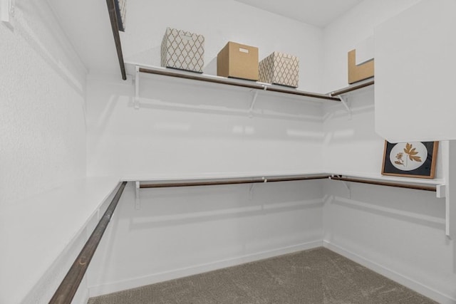 13615 Thomas Wheeler Way, Manor, TX 78653 - walk in closet featuring carpet