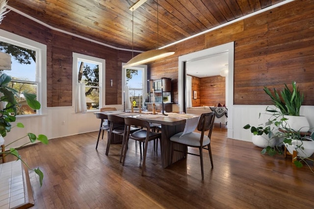 2124 Bluebonnet Ln, Austin, TX 78704 - dining area featuring wooden walls, wooden ceiling, healthy amount of natural light, wood finished floors, and a wainscoted wall