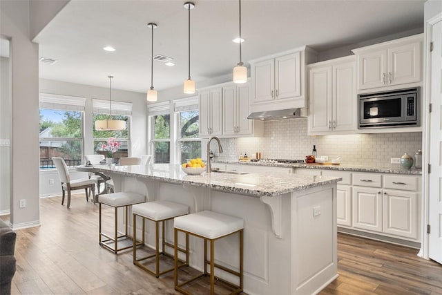 5621 Cypress Ranch Blvd, Spicewood, TX 78669 - kitchen featuring stainless steel appliances, recessed lighting, decorative backsplash, wood finished floors, and under cabinet range hood