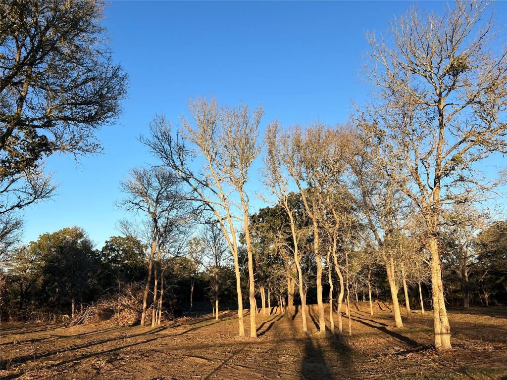 4015 Old Colony Line Rd, Lockhart, TX 78644 - photo 1