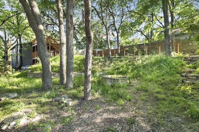 512 Bouldin Ave, Austin, TX 78704 - view of yard