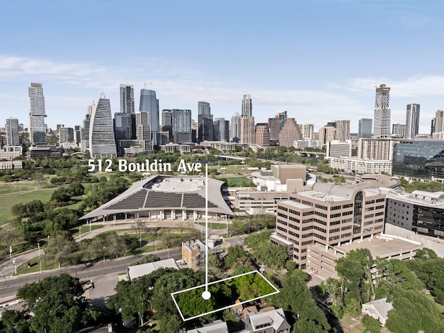 512 Bouldin Ave, Austin, TX 78704 - skyline view