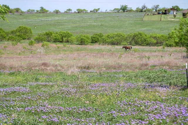 14325 S Turnerville Rd, Buda, TX 78610 - photo 8