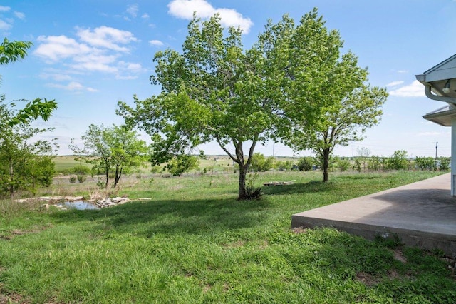 14325 S Turnerville Rd, Buda, TX 78610 - photo 33