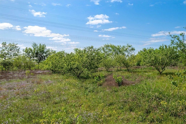 14325 S Turnerville Rd, Buda, TX 78610 - photo 36