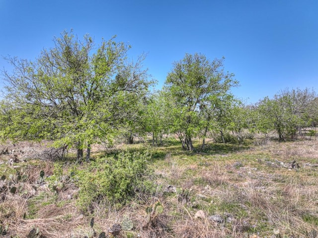 309 Oakwood Loop, San Marcos, TX 78666 - photo 34