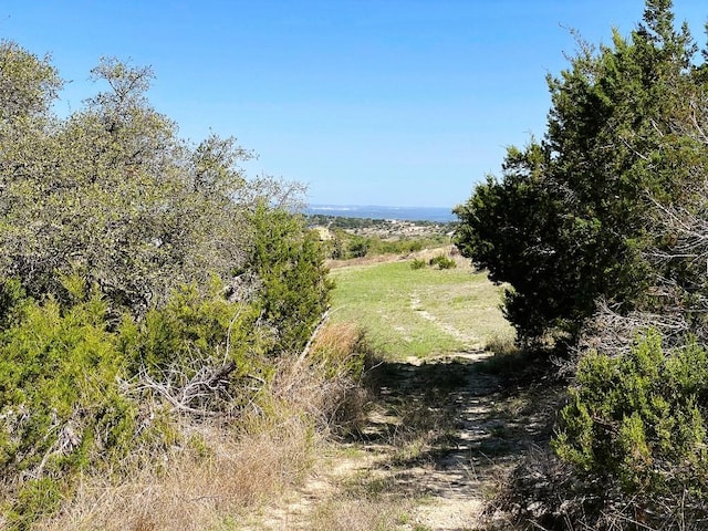 321 Cedar Mountain Dr, Marble Falls, TX 78654 - photo 3