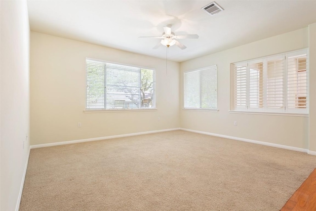 311 Dove Hollow Trl, Georgetown, TX 78633 - photo 8