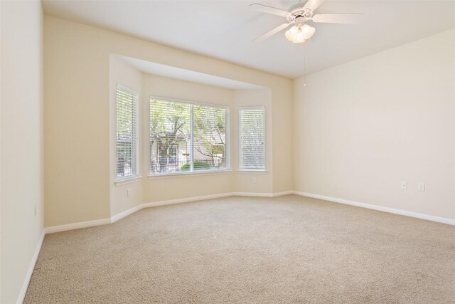 311 Dove Hollow Trl, Georgetown, TX 78633 - photo 13
