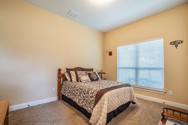 108 Buffalo Speedway, Liberty Hill, TX 78642 - photo 29