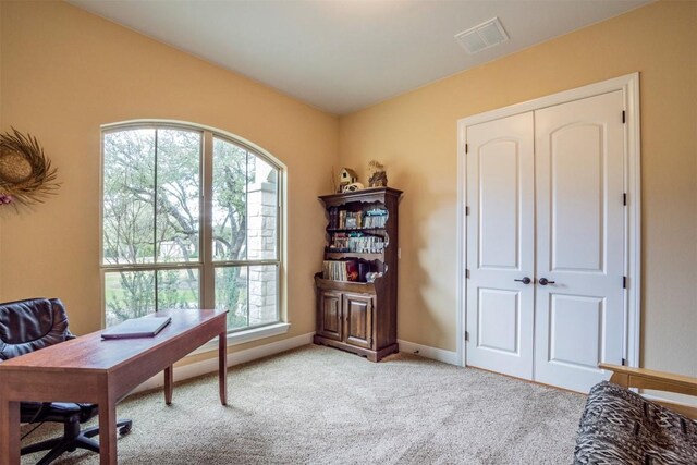 108 Buffalo Speedway, Liberty Hill, TX 78642 - photo 32