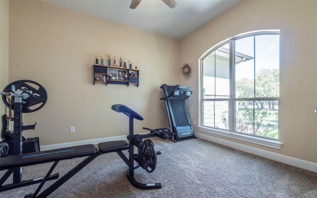 108 Buffalo Speedway, Liberty Hill, TX 78642 - photo 33