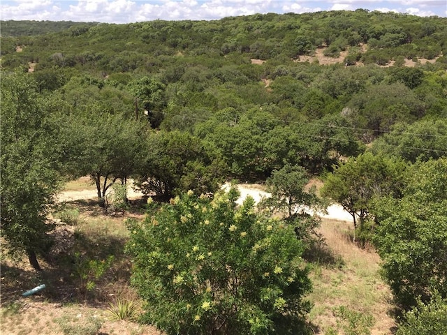 156 Lazy Leaf Ln, Wimberley, TX 78676 - bird's eye view of a heavily wooded area