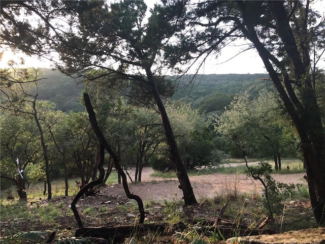 156 Lazy Leaf Ln, Wimberley, TX 78676 - mountain view featuring a heavily wooded area
