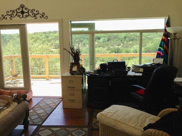 156 Lazy Leaf Ln, Wimberley, TX 78676 - office with wood-type flooring