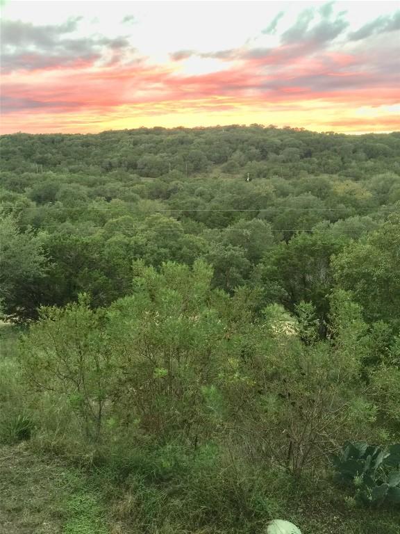 156 Lazy Leaf Ln, Wimberley, TX 78676 - view of wooded area