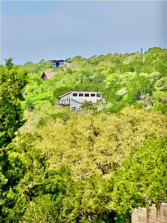 156 Lazy Leaf Ln, Wimberley, TX 78676 - bird's eye view of a forest