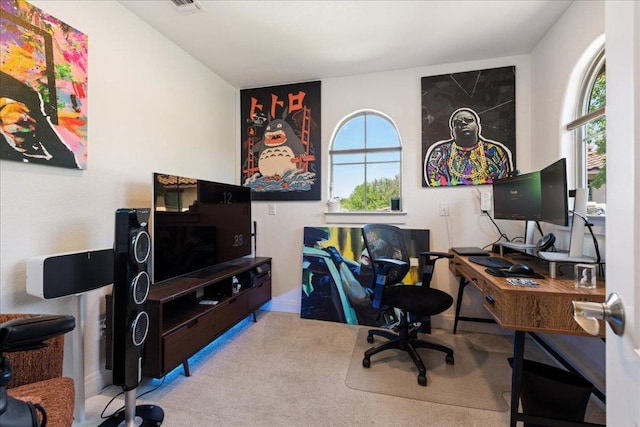 15213 Falconhead Grove Loop, Austin, TX 78738 - office space featuring carpet