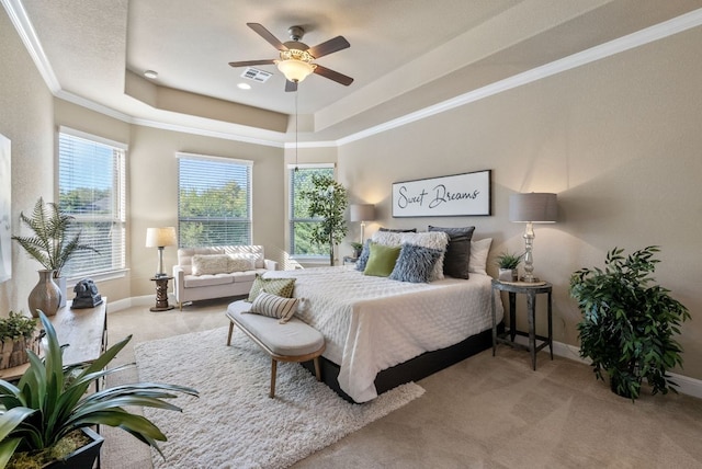3817 Benetton Way, Leander, TX 78641 - bedroom featuring a raised ceiling, multiple windows, baseboards, and ornamental molding