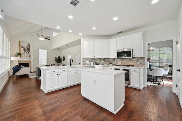 7802 Cheno Cortina Trl, Austin, TX 78749 - kitchen with a peninsula, visible vents, ceiling fan with notable chandelier, light countertops, and appliances with stainless steel finishes