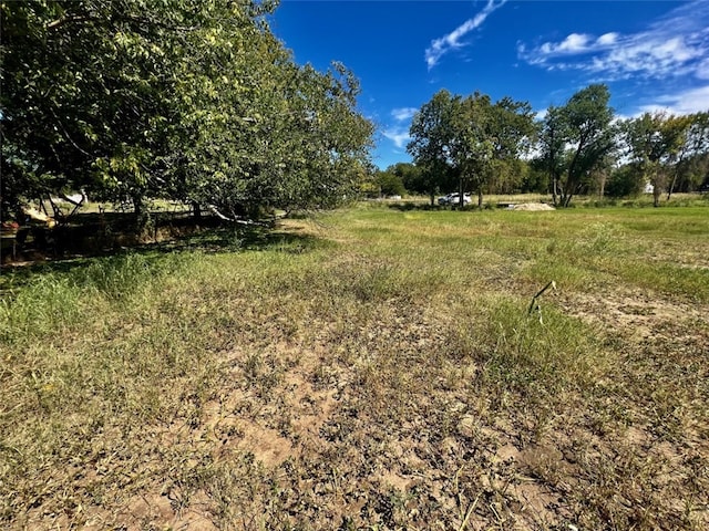 749 Caldwell St, Lexington, TX 78947 - photo 2