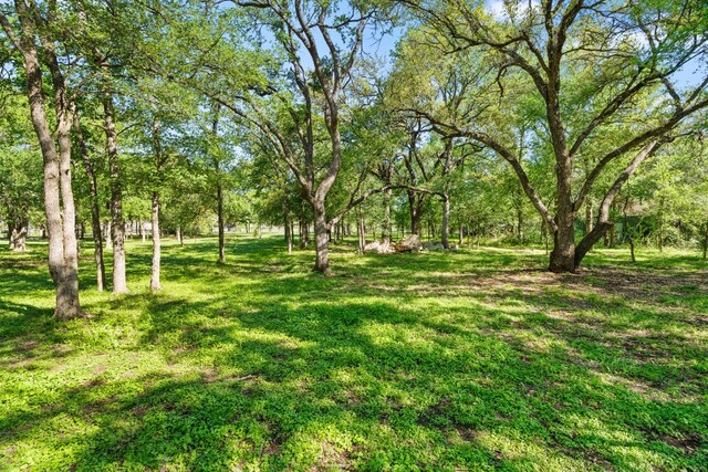 371 County Road 204, Liberty Hill, TX 78642 - photo 2