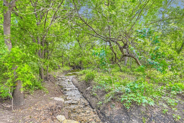 809 Edgecliff Ter, Austin, TX 78704 - view of woods