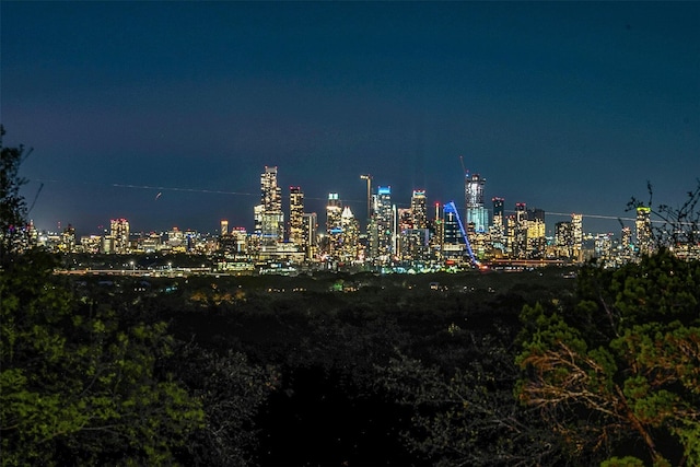 201 Mcconnell Dr, West Lake Hills, TX 78746 - city view featuring a view of city lights