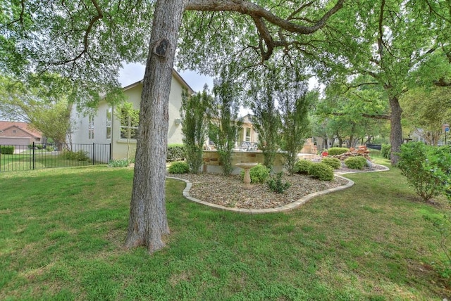 204 Whippoorwill Cv, Georgetown, TX 78633 - view of yard