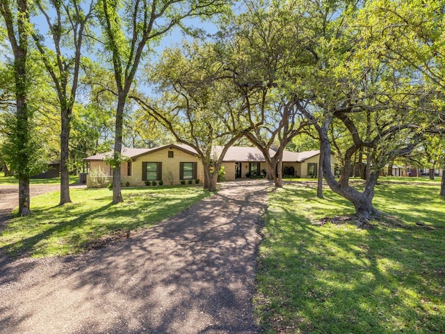 6022 Tonkowa Trl, Georgetown, TX 78628 - ranch-style house with brick siding, driveway, and a front lawn