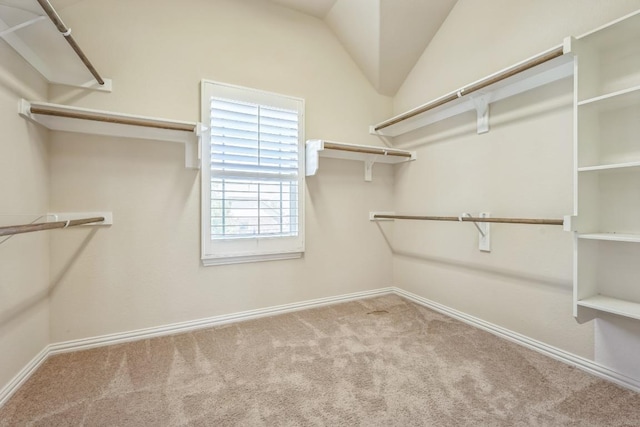 3505 Grail Hollows Rd, Pflugerville, TX 78660 - walk in closet featuring carpet