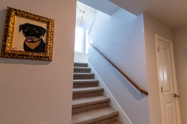 702 Silo St, San Marcos, TX 78666 - view of staircase