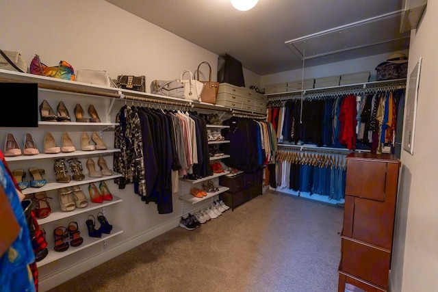 702 Silo St, San Marcos, TX 78666 - spacious closet featuring attic access and carpet floors