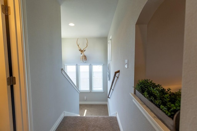 702 Silo St, San Marcos, TX 78666 - stairs with carpet and arched walkways