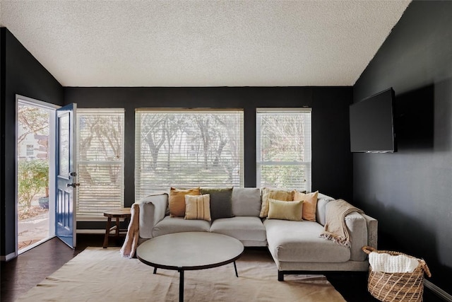 19 Deerfield Dr Unit 2, Wimberley, TX 78676 - living room with a textured ceiling, lofted ceiling, and wood finished floors