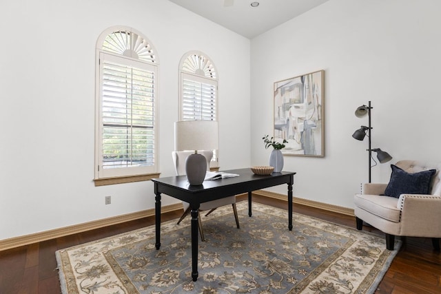 219 Jack Nicklaus Dr, Austin, TX 78738 - home office featuring wood finished floors and baseboards