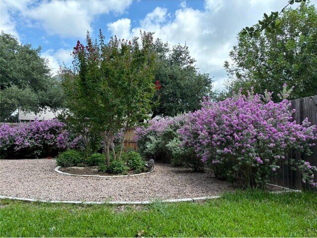 2201 Ezra Ct, Cedar Park, TX 78613 - view of yard