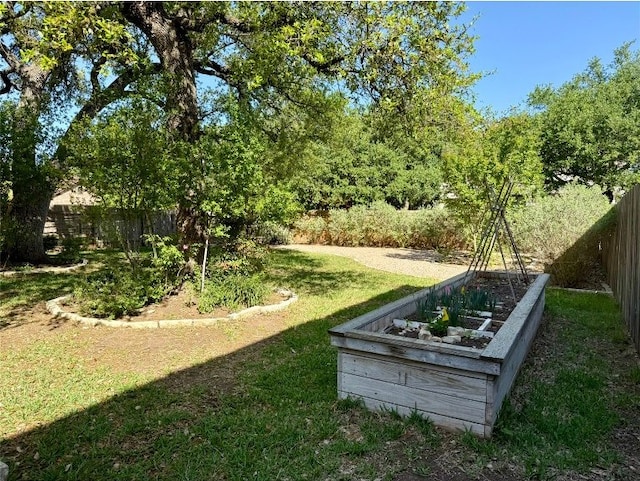 2201 Ezra Ct, Cedar Park, TX 78613 - view of yard with a vegetable garden