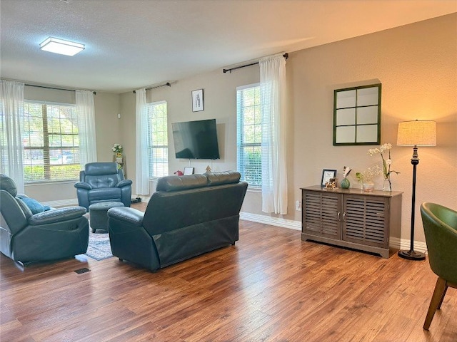 2201 Ezra Ct, Cedar Park, TX 78613 - living room featuring wood finished floors, plenty of natural light, and baseboards