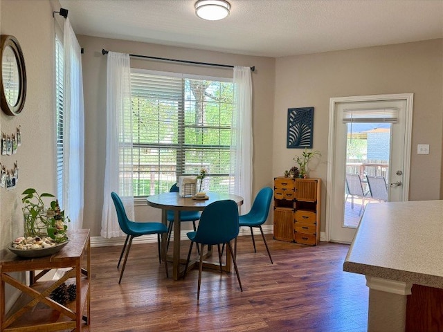 2201 Ezra Ct, Cedar Park, TX 78613 - dining space featuring dark wood finished floors