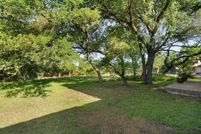13212 Running Doe Ln, Cedar Park, TX 78613 - view of green lawn