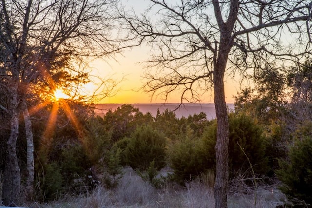 13212 Running Doe Ln, Cedar Park, TX 78613 - view of nature at dusk