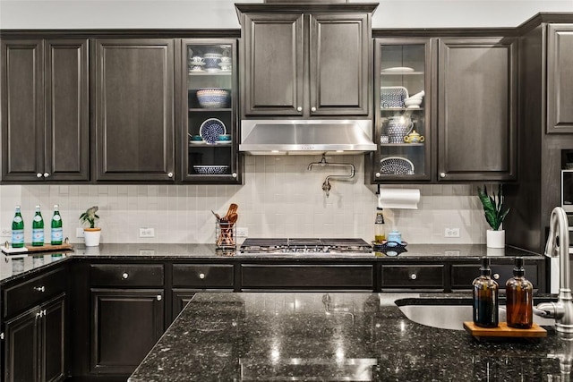174 Challis Ct, Austin, TX 78737 - kitchen with under cabinet range hood, tasteful backsplash, a sink, dark stone counters, and glass insert cabinets