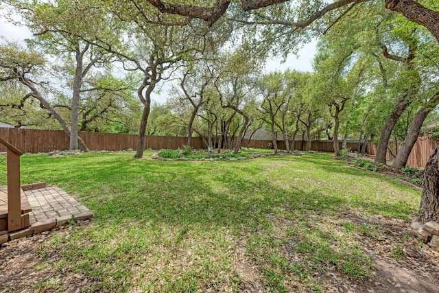 8105 Endeavor Cir, Austin, TX 78726 - view of fenced backyard