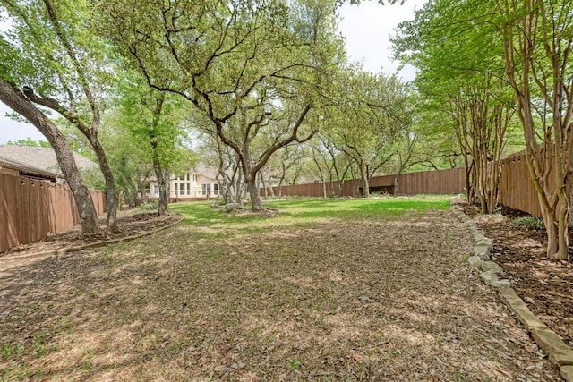 8105 Endeavor Cir, Austin, TX 78726 - view of fenced backyard