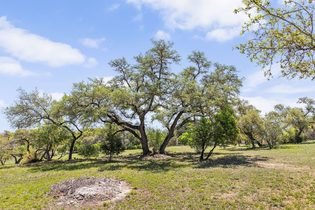 18105 Austin Blvd, Lago Vista, TX 78645 - view of green lawn