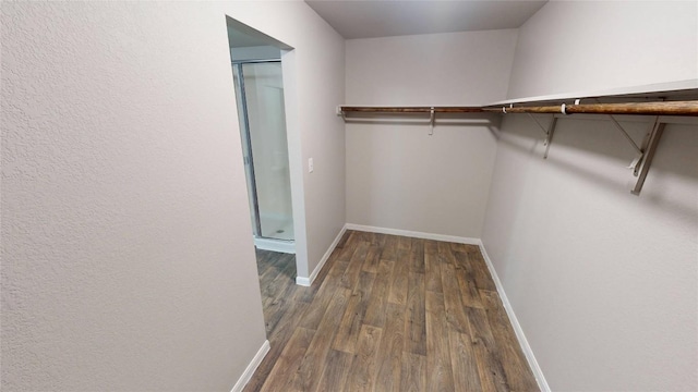12021 Riparian Rd, Manor, TX 78653 - photo 23