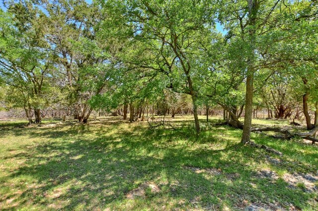 200 Nicole Way, Georgetown, TX 78633 - view of green lawn